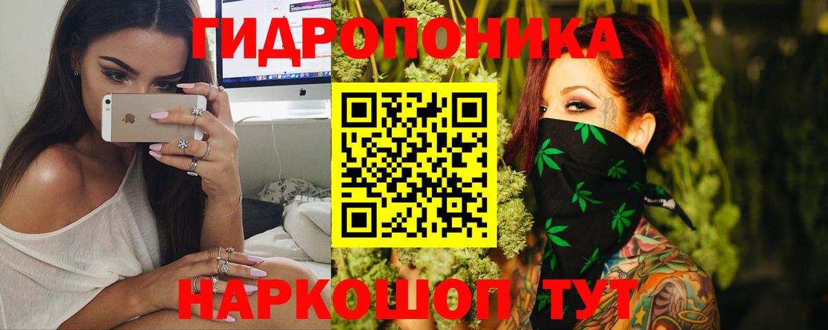 Бошки марихуана сатива Полевской